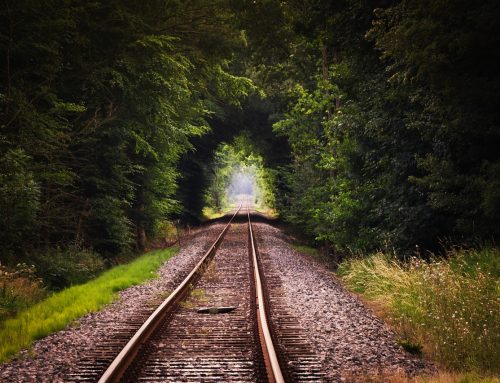 Live on Purpose (Even When Life Goes Off the Rails)