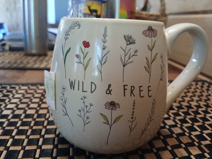 Just because you can doesn't mean you should, mug
